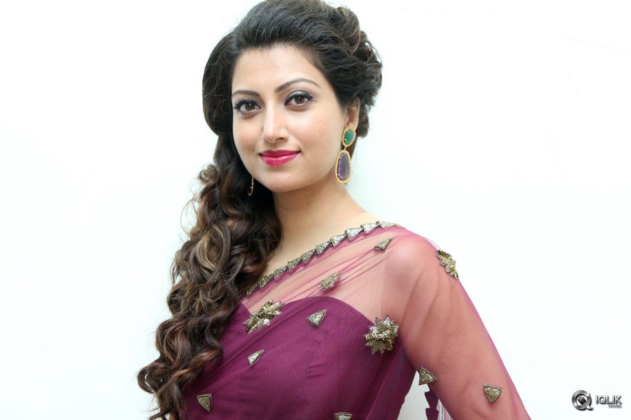 Hamsa-Nandini-at-Bengal-Tiger-Movie-Audio-Launch